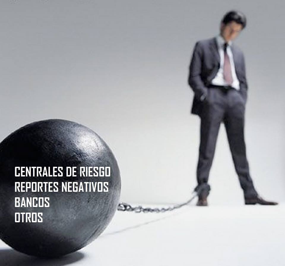 5% Por Asesoria